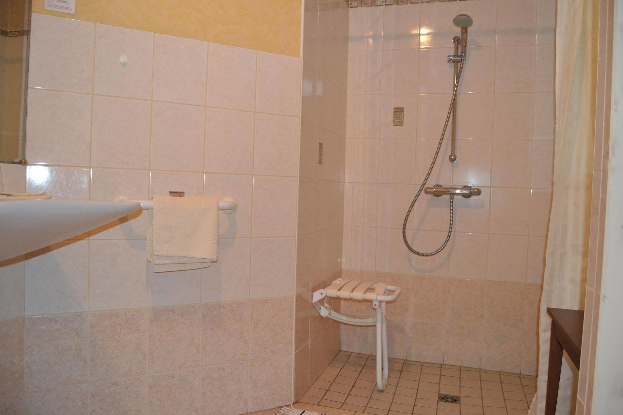 Hotel Du Lion Vert Luxeuil-les-Bains Buitenkant foto